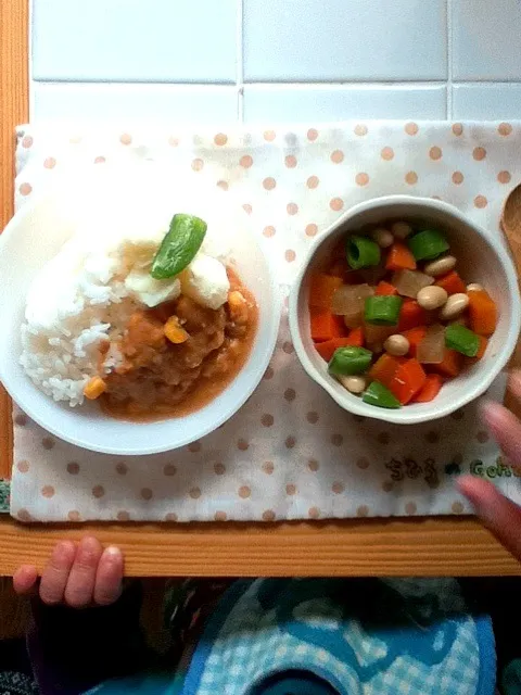 chihuroのごはん カレー、粉吹き芋、大豆と大根煮物|あっこさんのさん