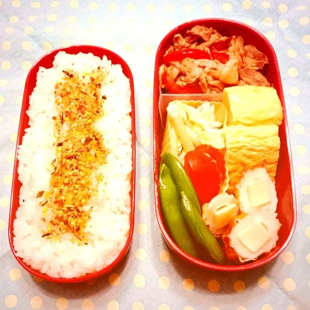 病みあがりでSD今年初投稿。       2013.1/11お弁当〜|たかまんさん