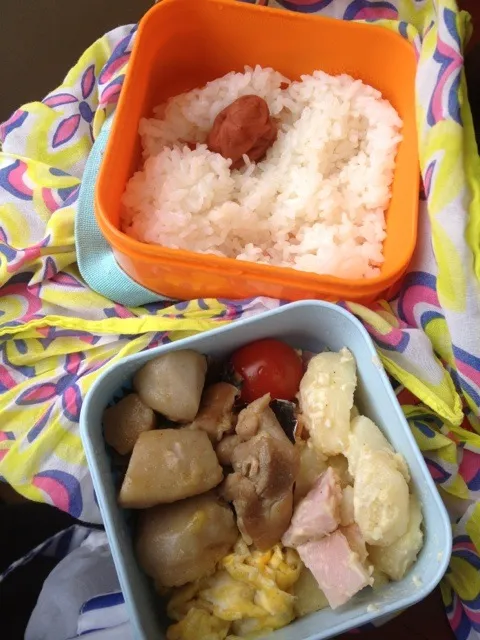 弁当|おぎしょーさん