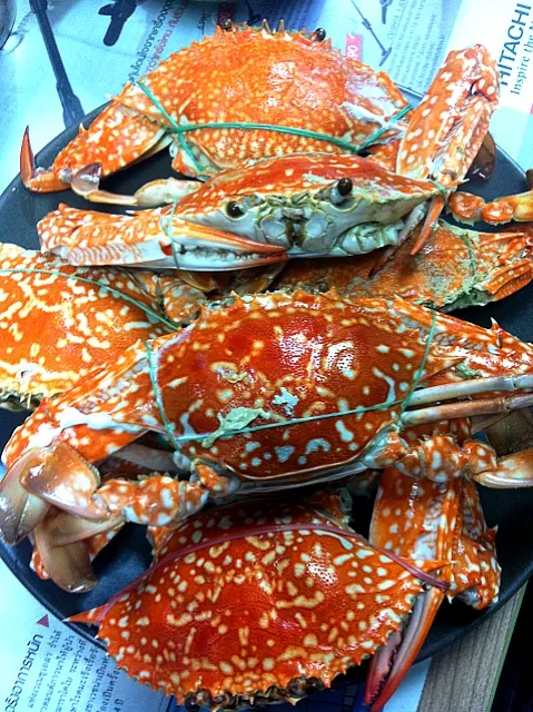 Blue swimming crab|noknoomさん