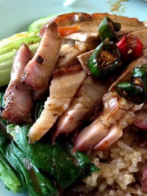 ข้าวหน้าเป็ด+หมูกรอบ|RBさん