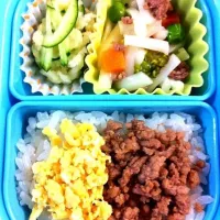 Soboro bento (minced meat or fish with soy sauce)|Kei Santosさん