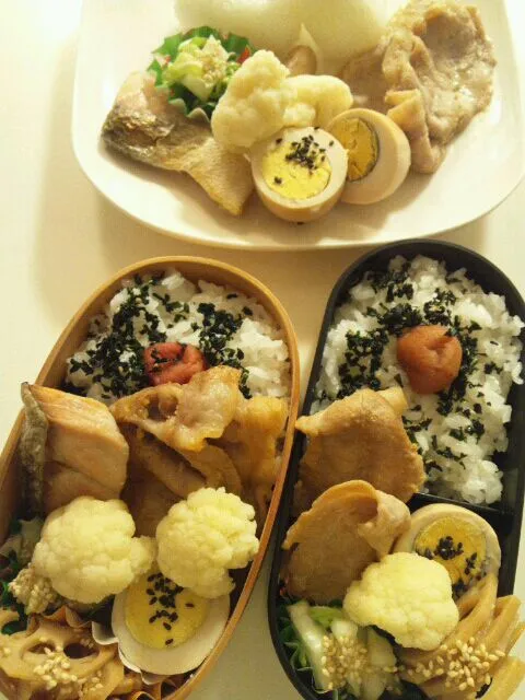 1/12 三人のお弁当|まみりんさん