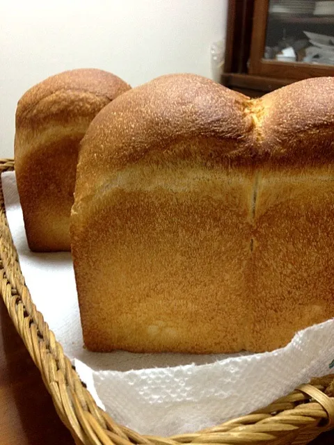 Snapdishの料理写真:ホシノ君で食パン🍞|Yuki(母)とＭana(娘)さん