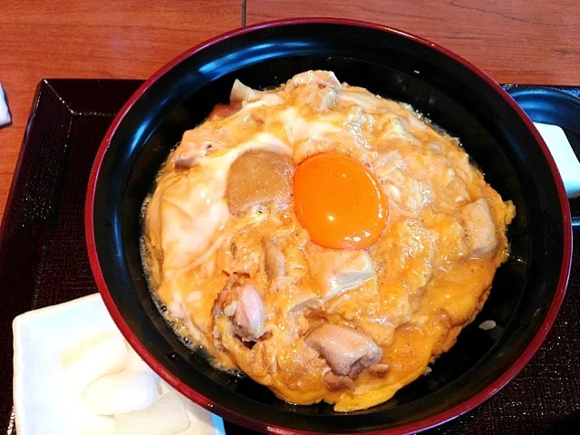 親子丼(名古屋コーチン)|よこけんさん