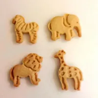 Animal cookies|Angieさん