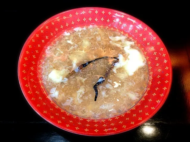 Bird's nest with Cordyceps and Ginseng 冬蟲草、人參燉燕窩|nicky tangさん