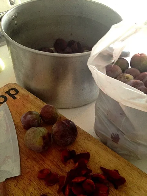 Stewed plums|jodie fidockさん