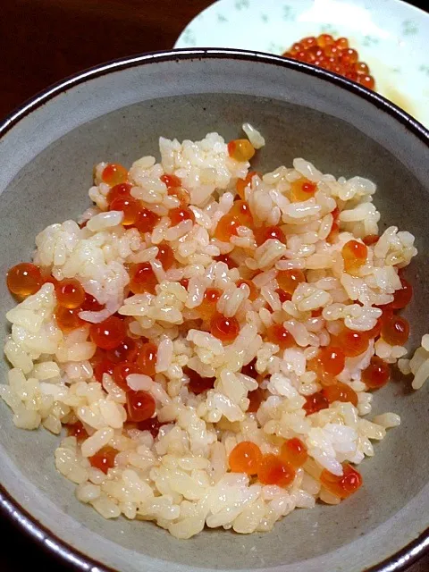 いくら丼|杉田 りなさん