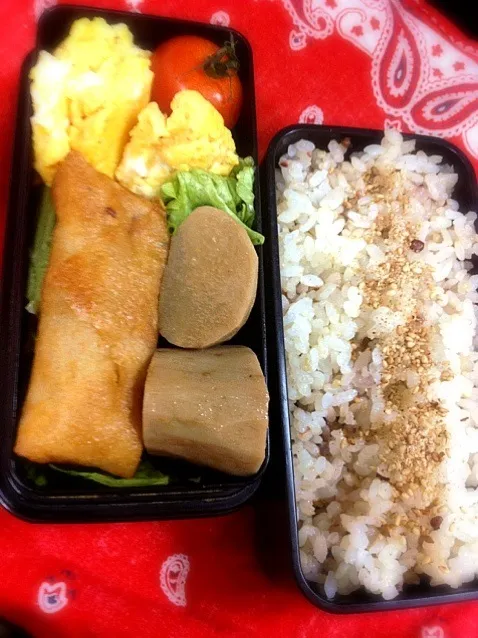 お弁当01/14|西川季宏さん