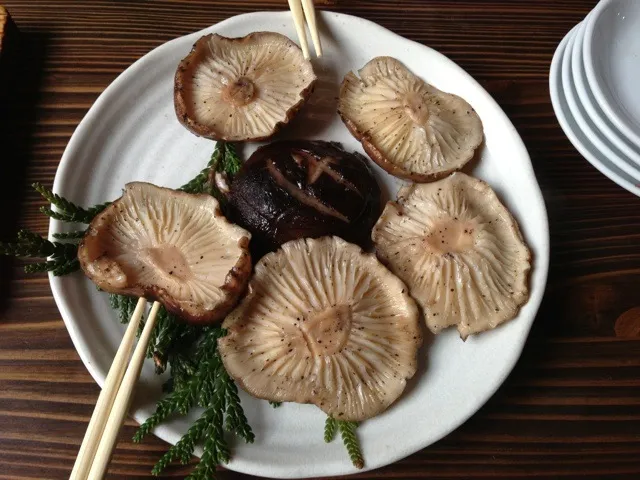 椎茸の炭火焼きー|さくたえさん