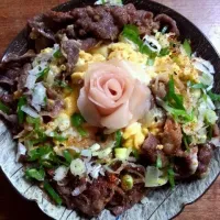 Snapdishの料理写真:ねぎたま牛丼