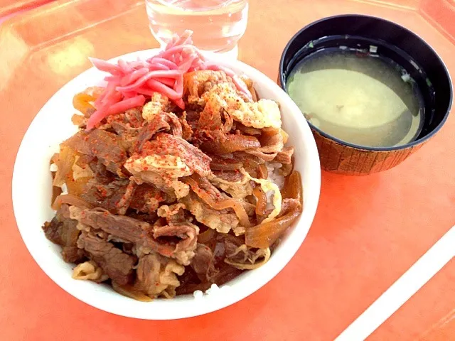 Snapdishの料理写真:牛丼|あやさん