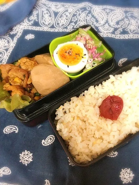 Snapdishの料理写真:お弁当01/15|西川季宏さん