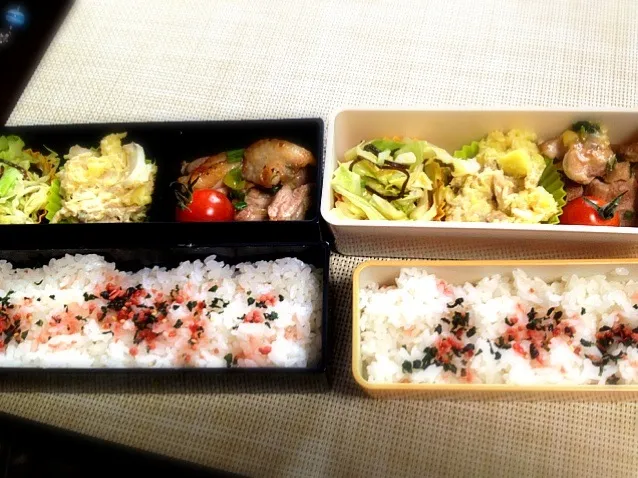 Snapdishの料理写真:本日のお弁当|satchさん