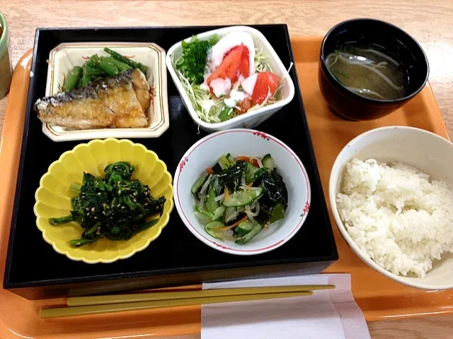 鯖の竜田揚げ生姜餡|すかラインさん