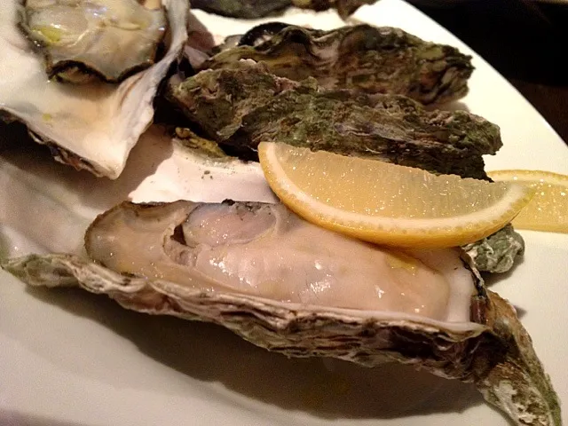 オイスター|co niさん