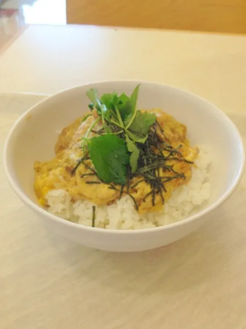 ヒレかつ丼(その1)|北尾 俊幸さん