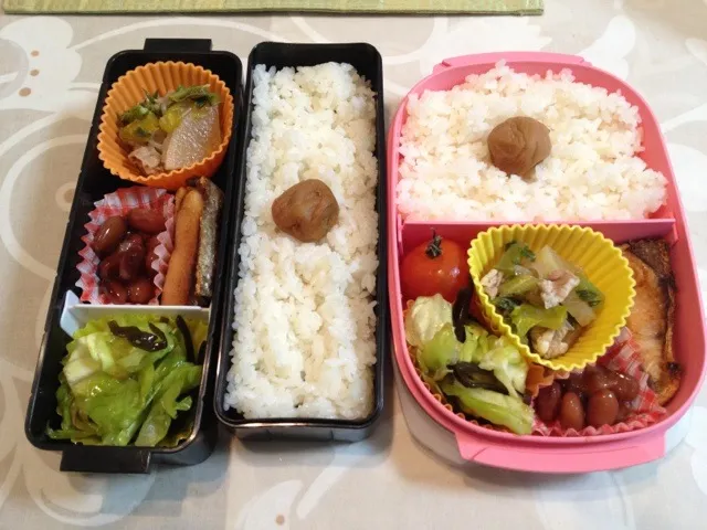 今日の夫婦お弁当|はちーさん