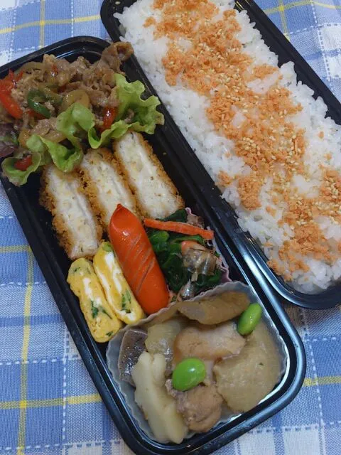 Snapdishの料理写真:13,1.17 男子高校生弁当|yukiさん