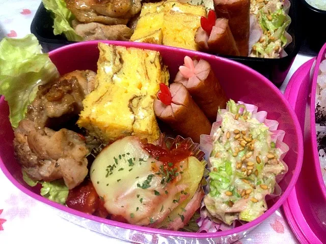 Snapdishの料理写真:2013.1.17 高校生弁当|めぐさん