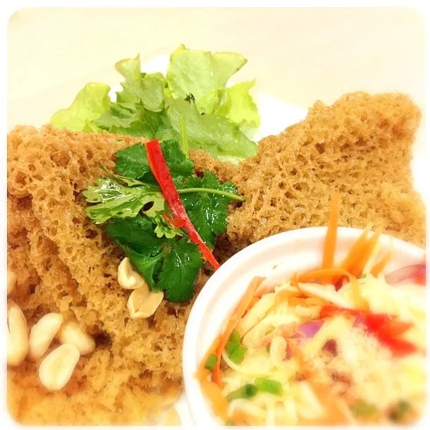 Fried Shredded Fish with Thai Salad Dressing ยำปลาดุกฟู 🐟🐟🐟|@bangkokさん