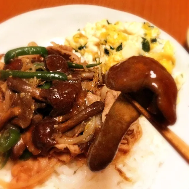 めちゃでかいナメコと豚肉とピーマンの味噌バター炒め丼|mikochieさん