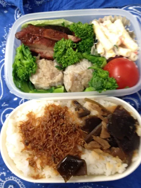 Snapdishの料理写真:残り物詰合せ弁当|おっちさん