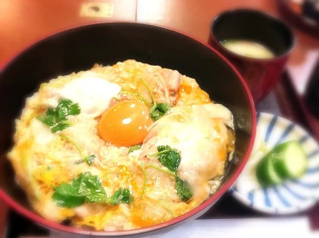 水炊き新三浦の親子丼|まことさん