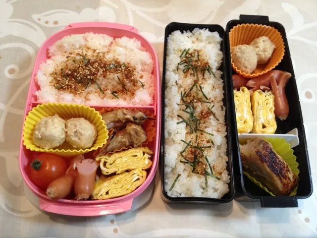 今日の夫婦お弁当|はちーさん