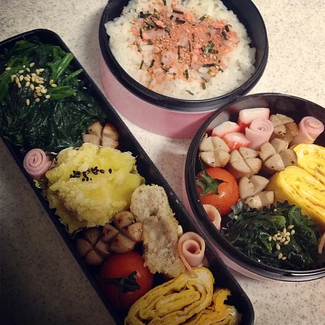 01/18お弁当|りすなさん