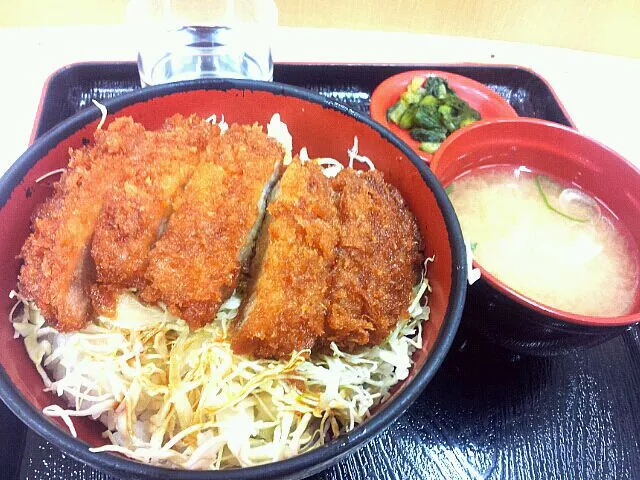 Snapdishの料理写真:駒ヶ岳SAでソースカツ丼|かとぅさん