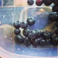 Snapdishの料理写真:blueberries!|Gaby Cさん