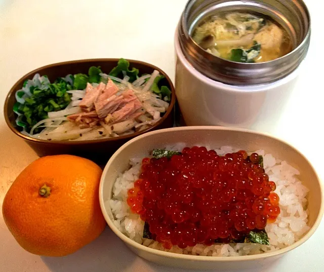 朝弁。…せっかくイクラ丼なのに😞|モナママさん