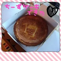 チーズケーキ♡|あゆみさん