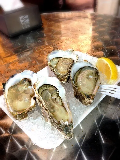 oysters|sweeettooothさん