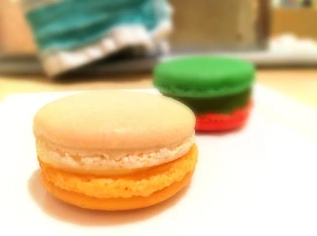 Mandarin & cheese macaron|willzさん