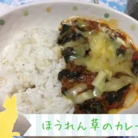 Snapdishの料理写真:ほうれん草のカレー|あやちょさん