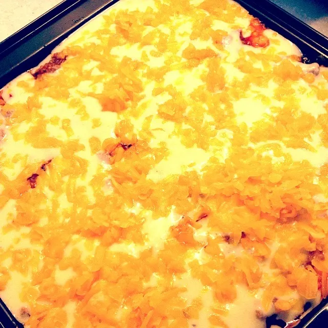 lasagne|ej adamさん