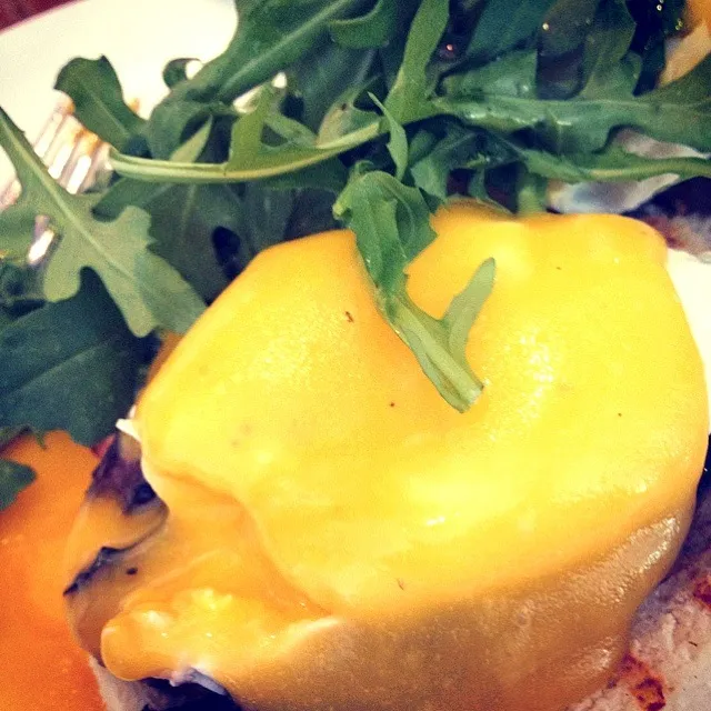 egg.benedict.salmon|ej adamさん