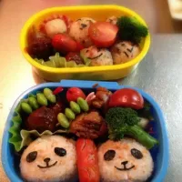 保育園の遠足お弁当 パンダ|たっけいさん