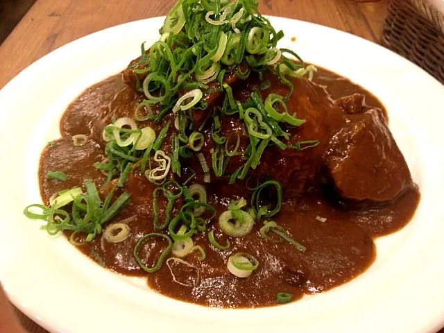 大阪、いずみカリーの肉ねぎカリー。|スパイシー丸山さん