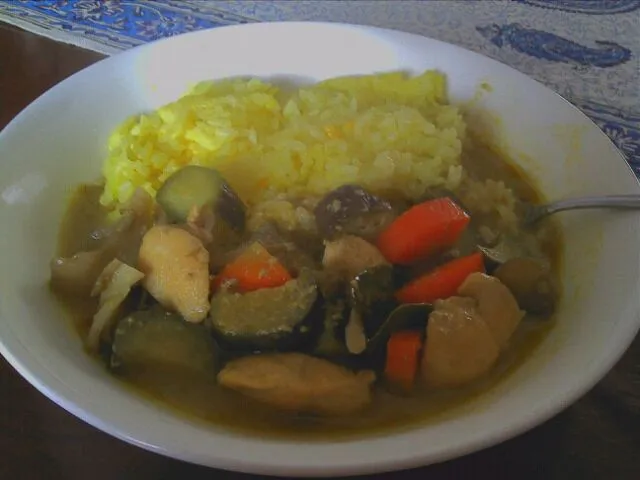 Thai curry for lunch! hmm... a bit too hot!|akanushka tatteeさん