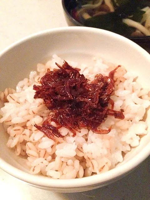 せえちゃんの佃煮でご飯🍚|りんさん