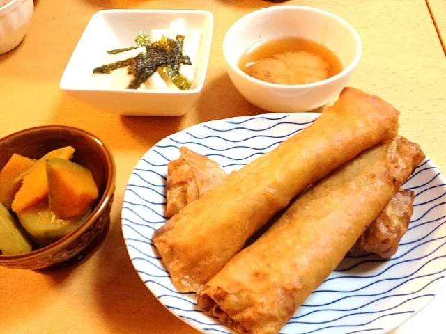 今日の晩ご飯❤(*⁰▿⁰*) キャベツと鶏ミンチ、生姜を沢山いれた春巻き♫|みちさん