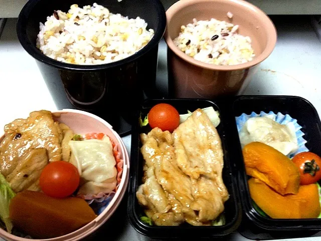 1/21のお弁当(豚の生姜焼、南瓜の煮物、焼売)|shoshoさん