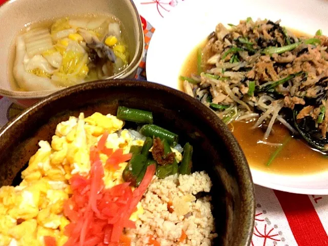 三色丼、ツナとからし菜ともやは炒め、水餃子スープ|もじゅさん