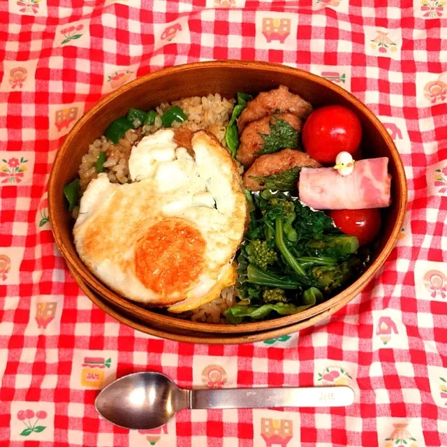 Snapdishの料理写真:今日のおべんと20130122|natsukoさん