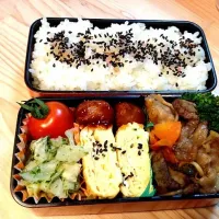 今日のお弁当(( ＾∀＾ ))|ギャリーさん