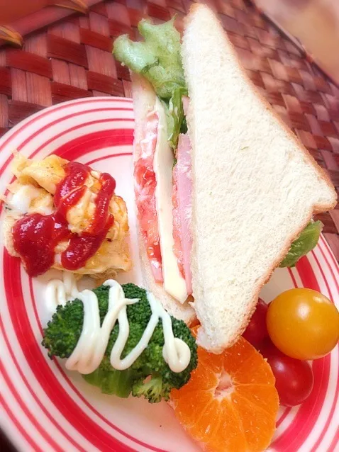 HCTL sandwich🍞欲張り息子のサンドイッチ|🌈Ami🍻さん